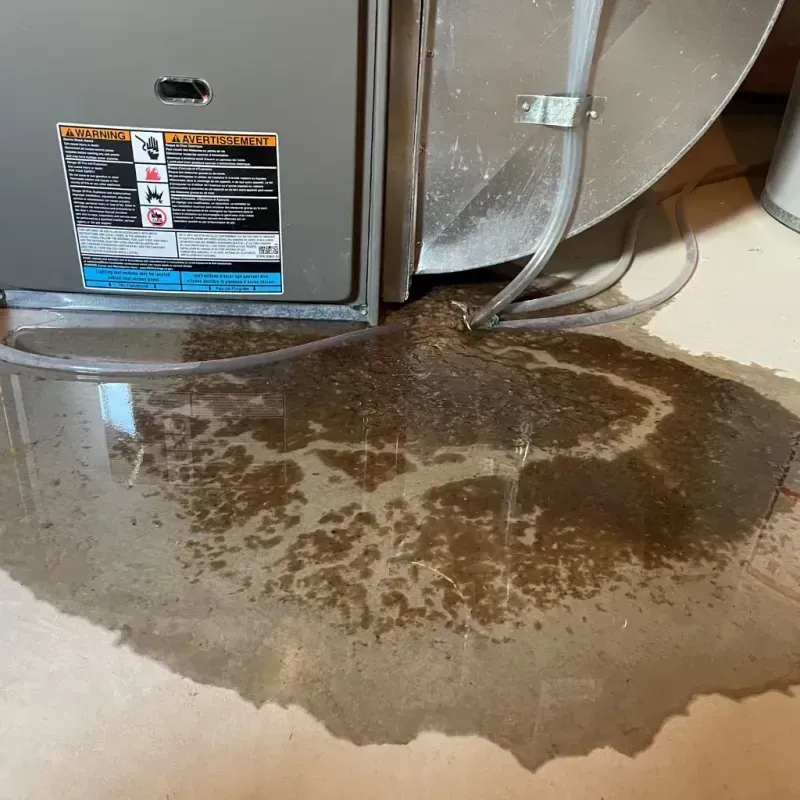 Appliance Leak Cleanup in Boalsburg, PA